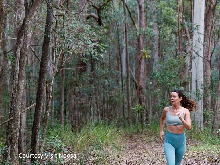 A runner jogging along a scenic coastal hiking track surrounded by native bushland in Noosa National Park.