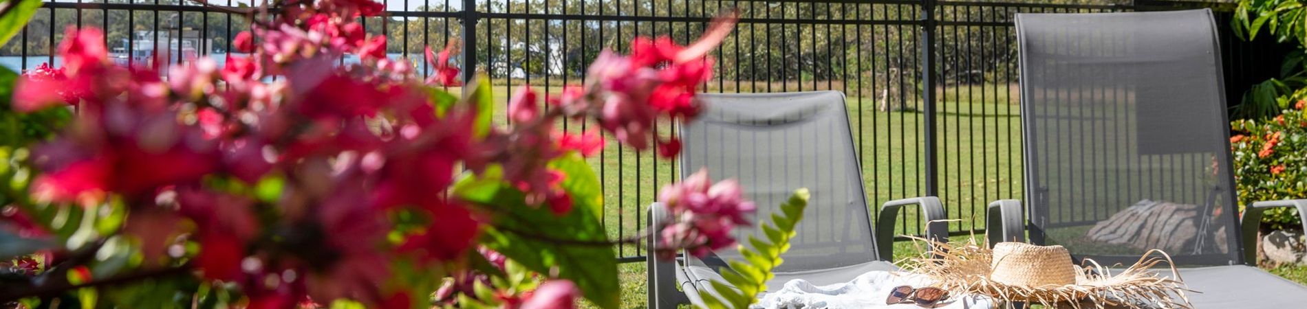 Close-up view of a vibrant red floral bush in the manicured resort gardens at Cayman Quays, with relaxation chaise lounges and the Noosa River visible in the immediate background.